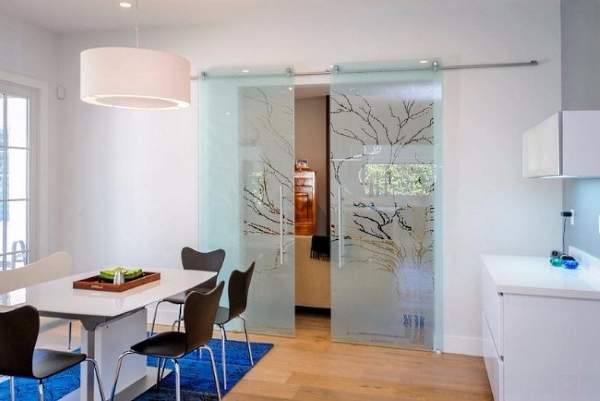 Стеклянные двери для кухни с красивым рисунком