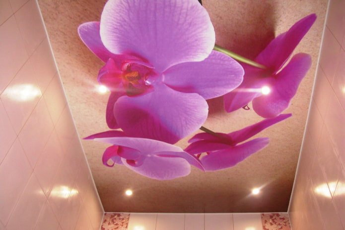 потолок с изображением орхидей