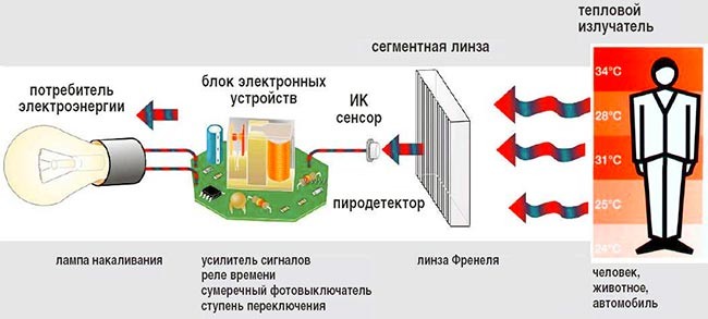 princip-raboty-detektora-dvizheniya